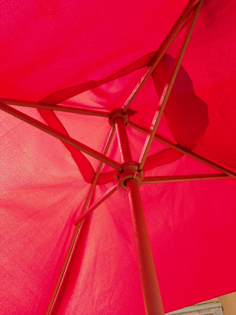 Under the Patio Umbrella